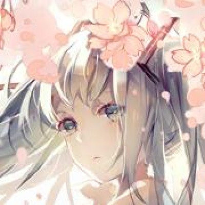 园方回应蜘蛛猴饲养员互薅头发